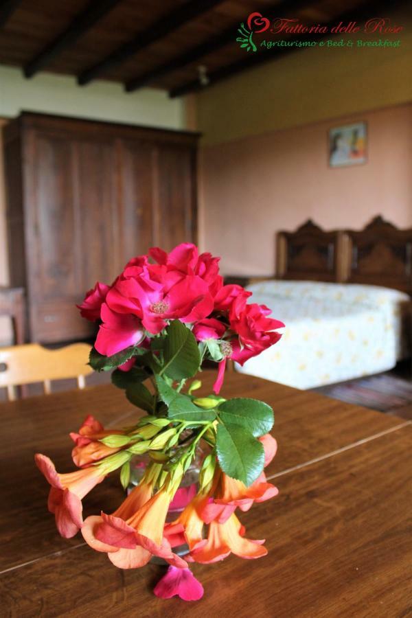 Fattoria Delle Rose Villa Salussola Room photo
